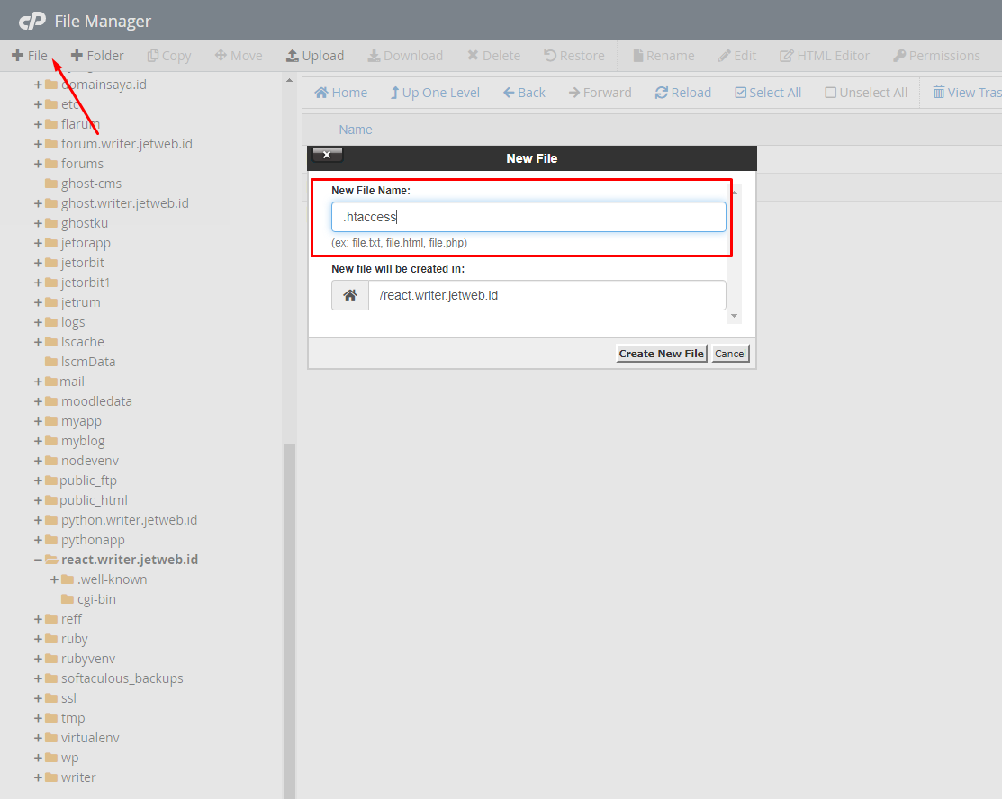 Cara Deploy Aplikasi React JS Di Cpanel Panduan Hosting Jetorbit